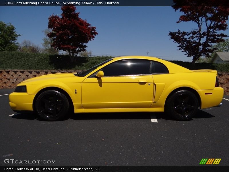 Screaming Yellow / Dark Charcoal 2004 Ford Mustang Cobra Coupe