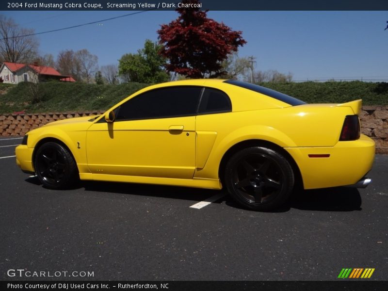 Screaming Yellow / Dark Charcoal 2004 Ford Mustang Cobra Coupe
