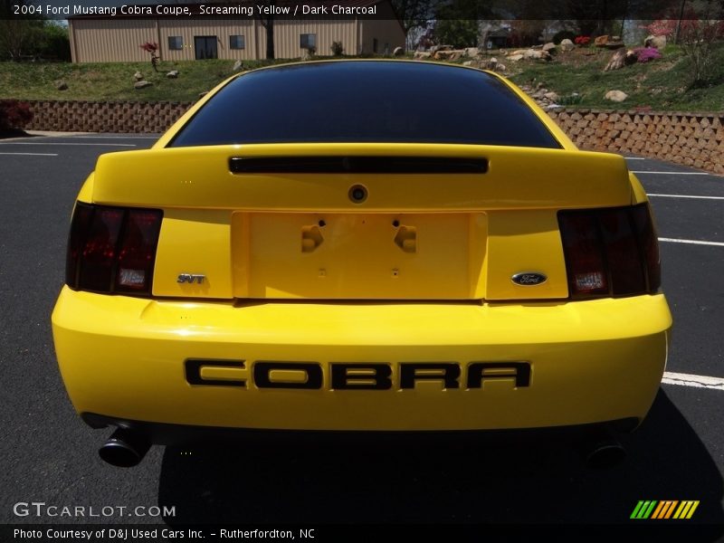 Screaming Yellow / Dark Charcoal 2004 Ford Mustang Cobra Coupe