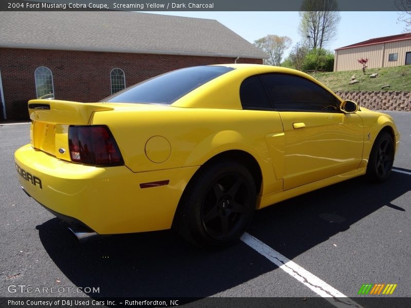 Screaming Yellow / Dark Charcoal 2004 Ford Mustang Cobra Coupe