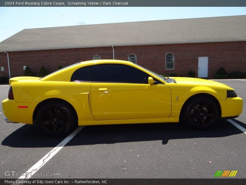 Screaming Yellow / Dark Charcoal 2004 Ford Mustang Cobra Coupe