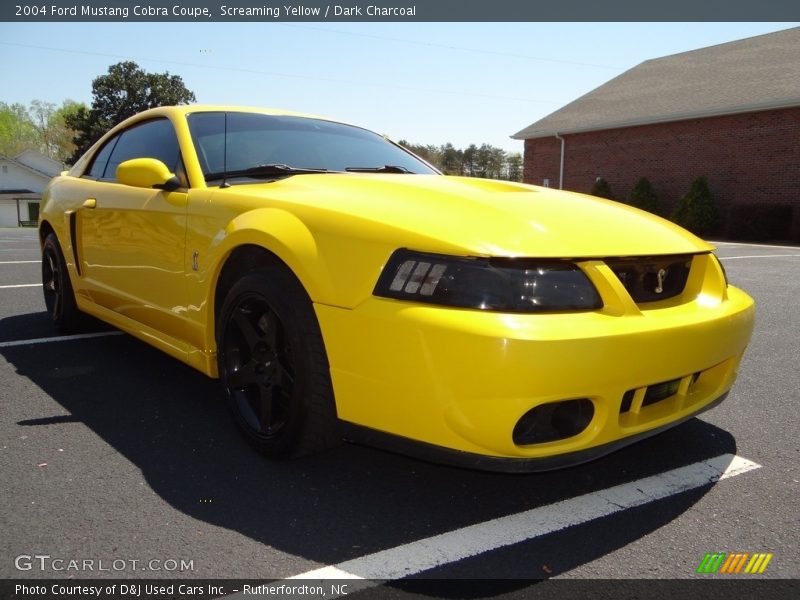 Screaming Yellow / Dark Charcoal 2004 Ford Mustang Cobra Coupe