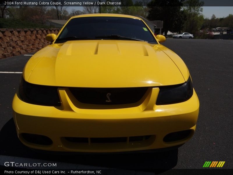 Screaming Yellow / Dark Charcoal 2004 Ford Mustang Cobra Coupe