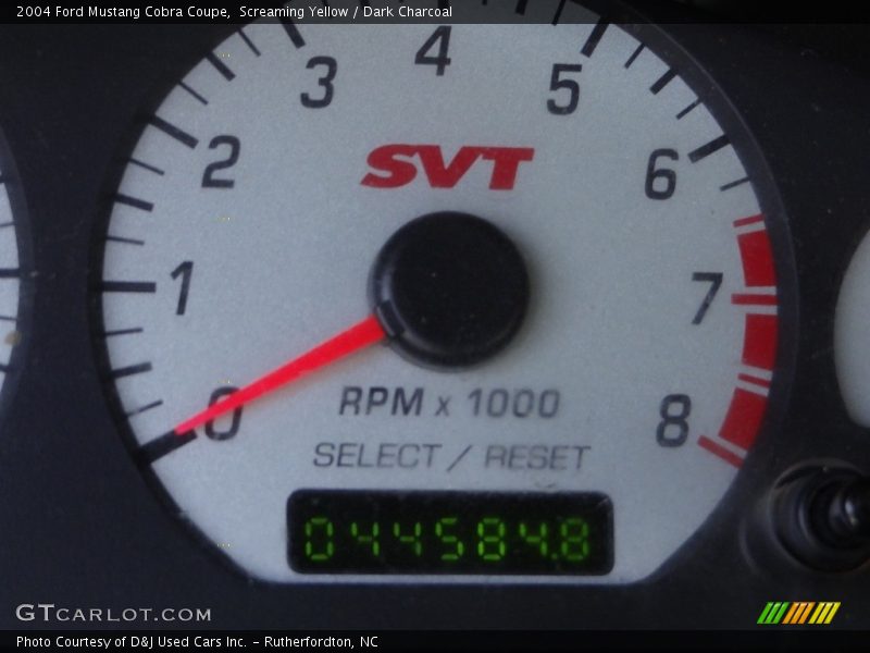Screaming Yellow / Dark Charcoal 2004 Ford Mustang Cobra Coupe