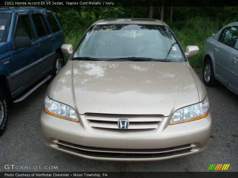 Naples Gold Metallic / Ivory 2001 Honda Accord EX V6 Sedan