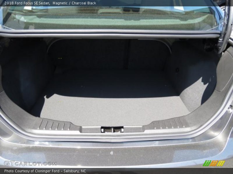 Magnetic / Charcoal Black 2018 Ford Focus SE Sedan