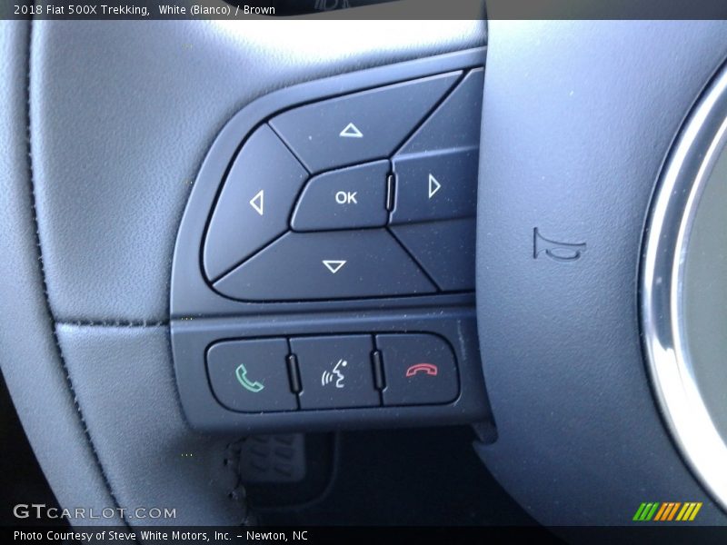 Controls of 2018 500X Trekking