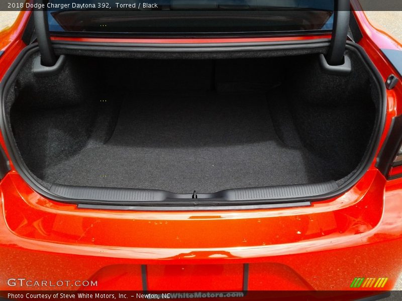 Torred / Black 2018 Dodge Charger Daytona 392