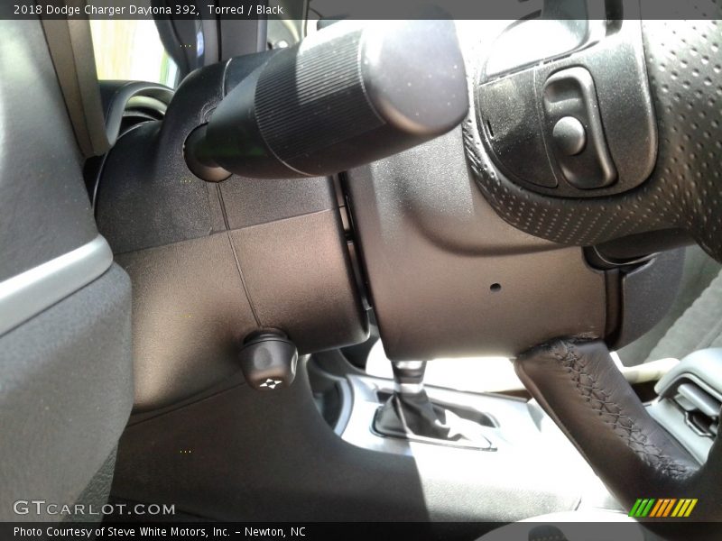 Torred / Black 2018 Dodge Charger Daytona 392