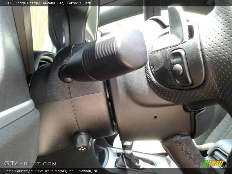 Torred / Black 2018 Dodge Charger Daytona 392