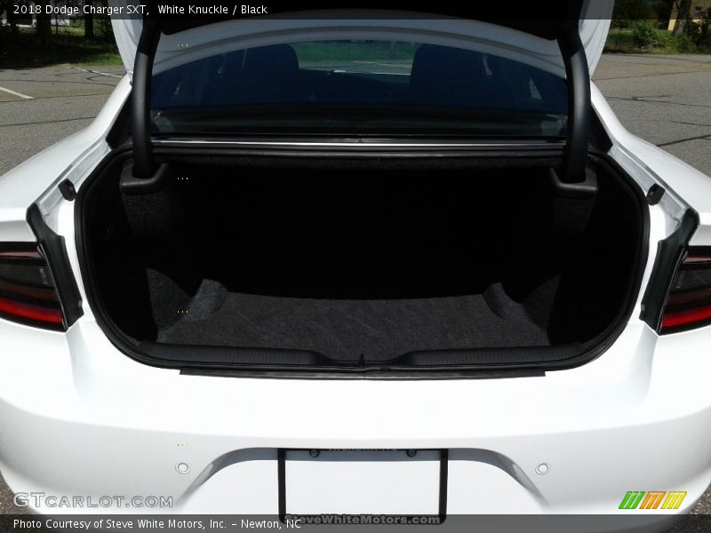 White Knuckle / Black 2018 Dodge Charger SXT