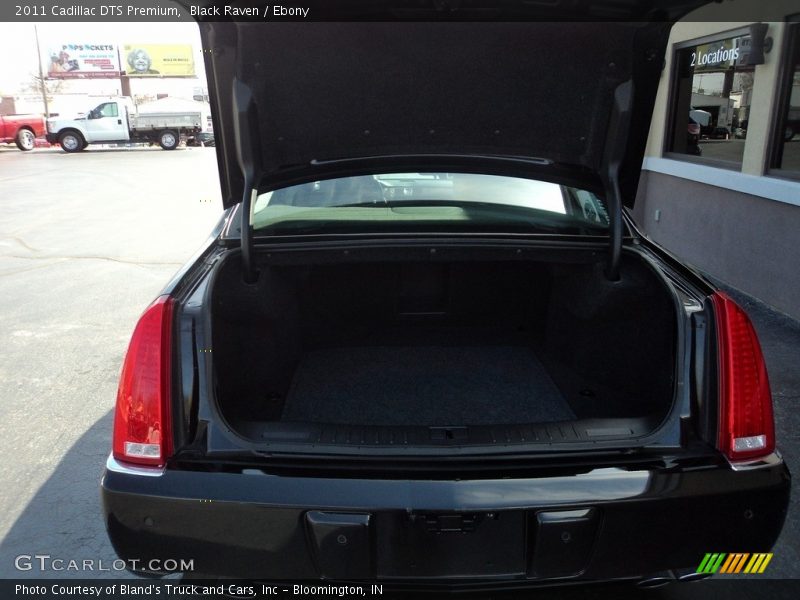 Black Raven / Ebony 2011 Cadillac DTS Premium