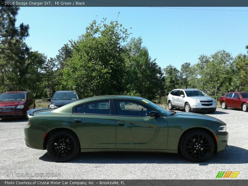 F8 Green / Black 2018 Dodge Charger SXT