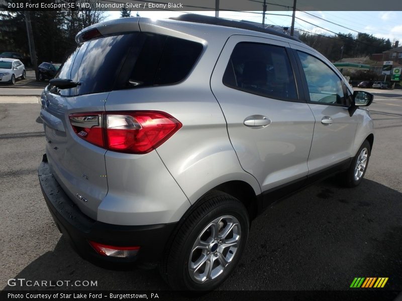 Moondust Silver / Ebony Black 2018 Ford EcoSport SE 4WD