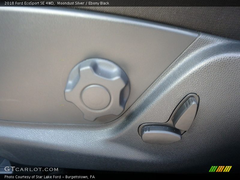Moondust Silver / Ebony Black 2018 Ford EcoSport SE 4WD