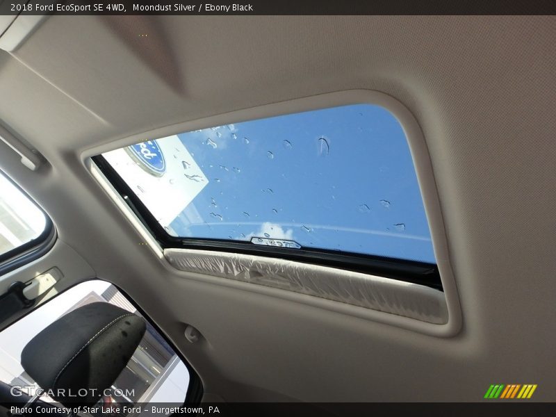 Moondust Silver / Ebony Black 2018 Ford EcoSport SE 4WD