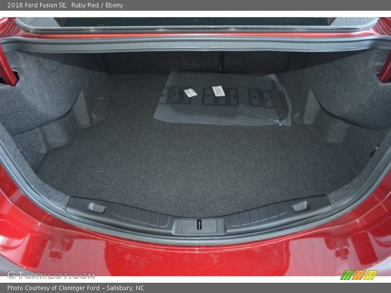 Ruby Red / Ebony 2018 Ford Fusion SE