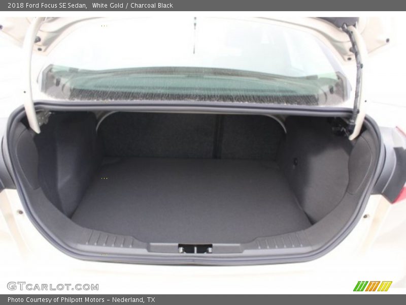 White Gold / Charcoal Black 2018 Ford Focus SE Sedan