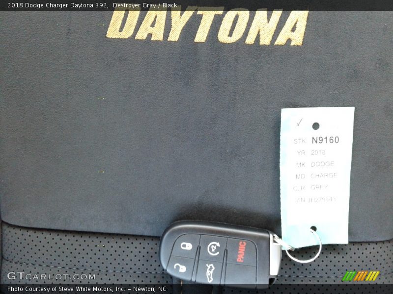 Destroyer Gray / Black 2018 Dodge Charger Daytona 392
