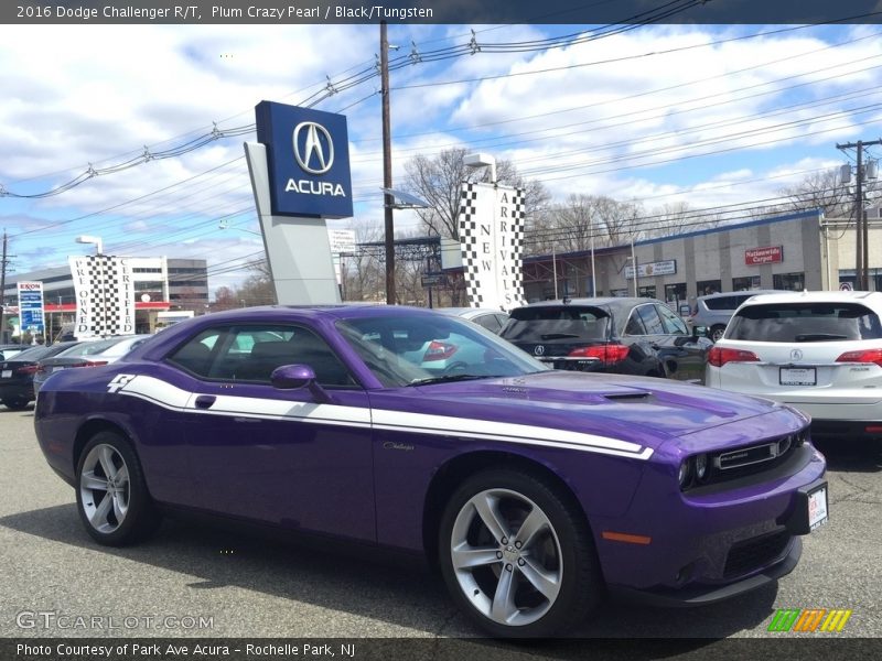 Plum Crazy Pearl / Black/Tungsten 2016 Dodge Challenger R/T