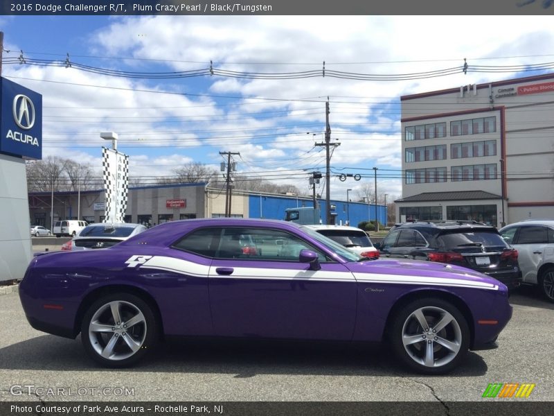 Plum Crazy Pearl / Black/Tungsten 2016 Dodge Challenger R/T