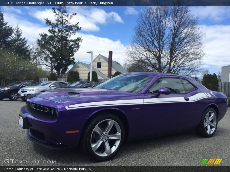 Plum Crazy Pearl / Black/Tungsten 2016 Dodge Challenger R/T