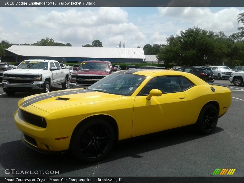 Yellow Jacket / Black 2018 Dodge Challenger SXT