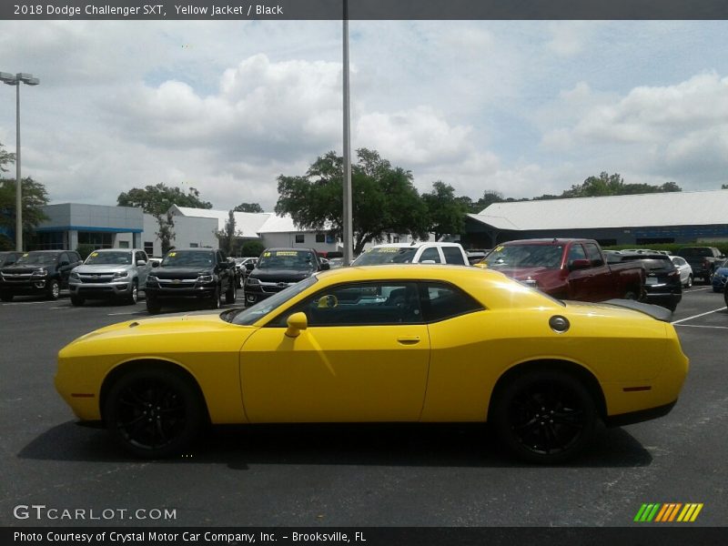 Yellow Jacket / Black 2018 Dodge Challenger SXT
