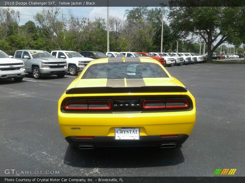 Yellow Jacket / Black 2018 Dodge Challenger SXT