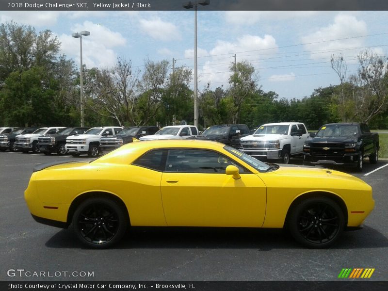 Yellow Jacket / Black 2018 Dodge Challenger SXT