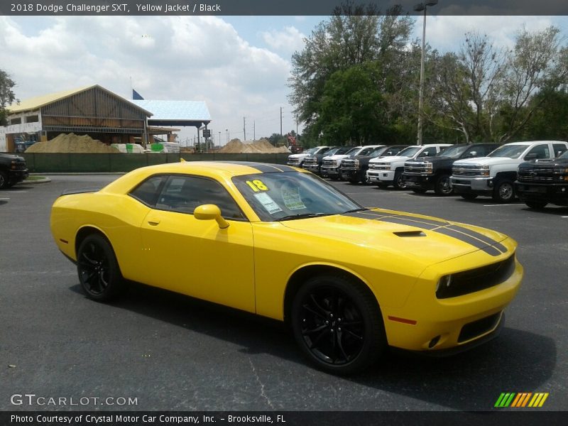 Yellow Jacket / Black 2018 Dodge Challenger SXT