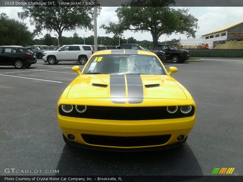 Yellow Jacket / Black 2018 Dodge Challenger SXT