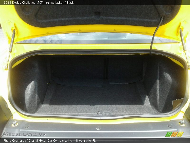 Yellow Jacket / Black 2018 Dodge Challenger SXT