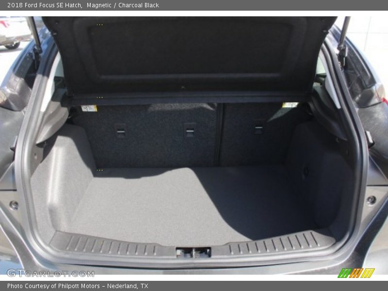 Magnetic / Charcoal Black 2018 Ford Focus SE Hatch