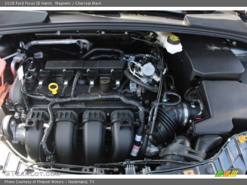 Magnetic / Charcoal Black 2018 Ford Focus SE Hatch