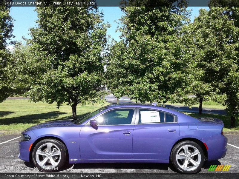 Plum Crazy Pearl / Black 2018 Dodge Charger R/T