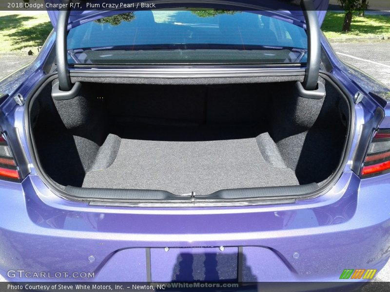 Plum Crazy Pearl / Black 2018 Dodge Charger R/T