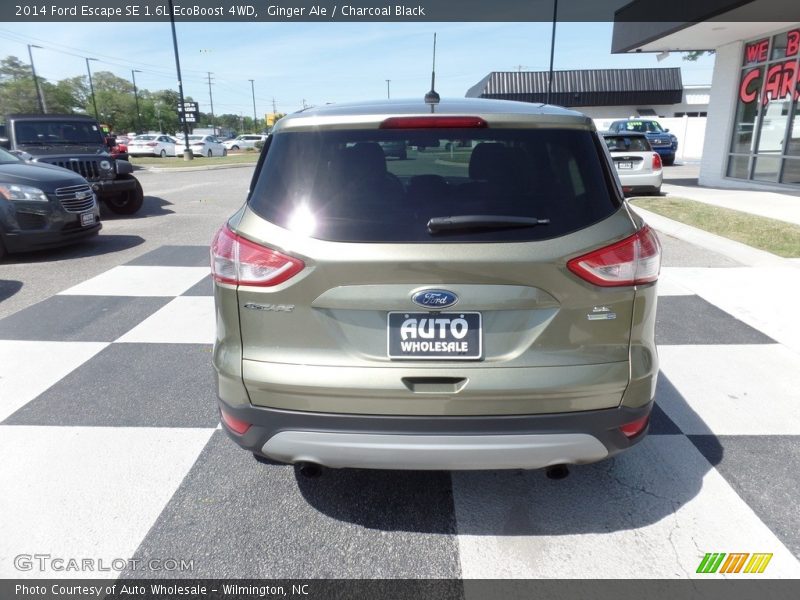 Ginger Ale / Charcoal Black 2014 Ford Escape SE 1.6L EcoBoost 4WD