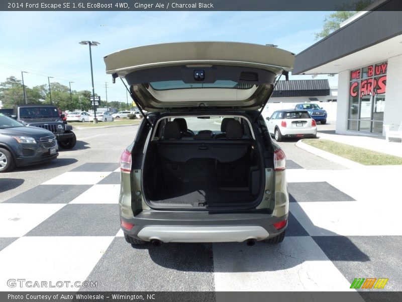 Ginger Ale / Charcoal Black 2014 Ford Escape SE 1.6L EcoBoost 4WD
