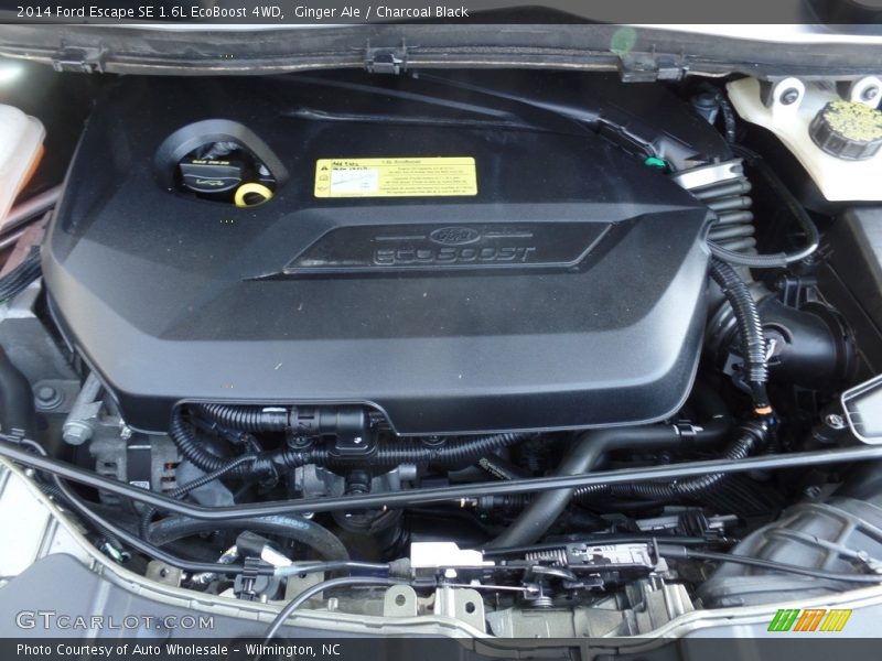 Ginger Ale / Charcoal Black 2014 Ford Escape SE 1.6L EcoBoost 4WD