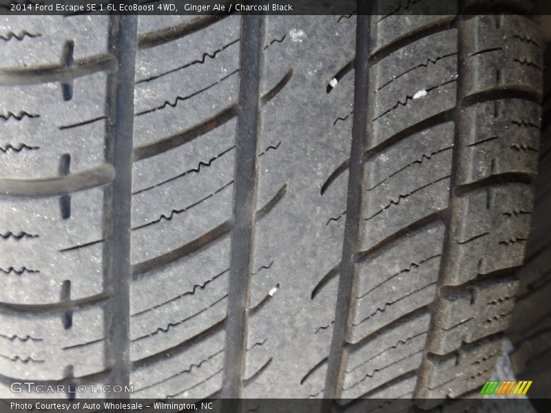 Ginger Ale / Charcoal Black 2014 Ford Escape SE 1.6L EcoBoost 4WD