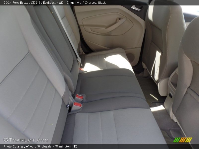 Ginger Ale / Charcoal Black 2014 Ford Escape SE 1.6L EcoBoost 4WD