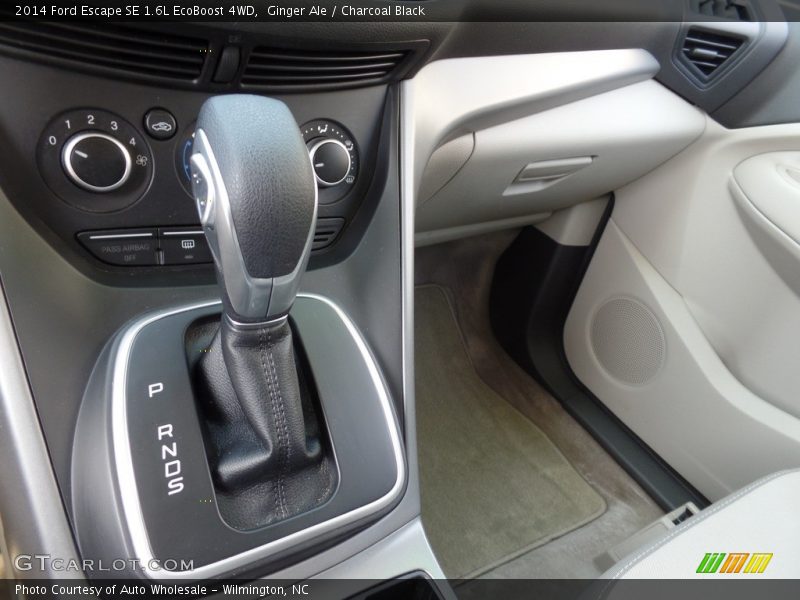 Ginger Ale / Charcoal Black 2014 Ford Escape SE 1.6L EcoBoost 4WD
