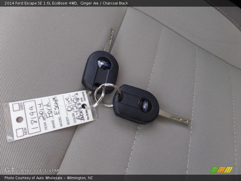 Ginger Ale / Charcoal Black 2014 Ford Escape SE 1.6L EcoBoost 4WD