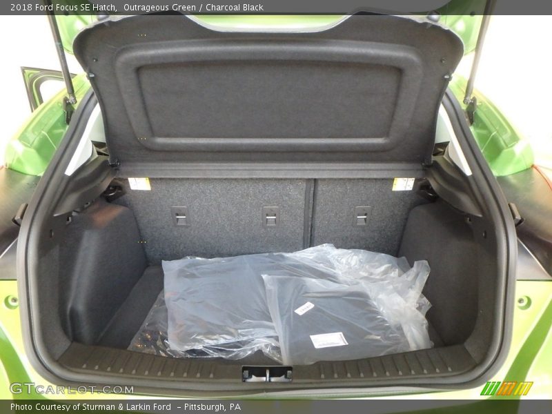 Outrageous Green / Charcoal Black 2018 Ford Focus SE Hatch