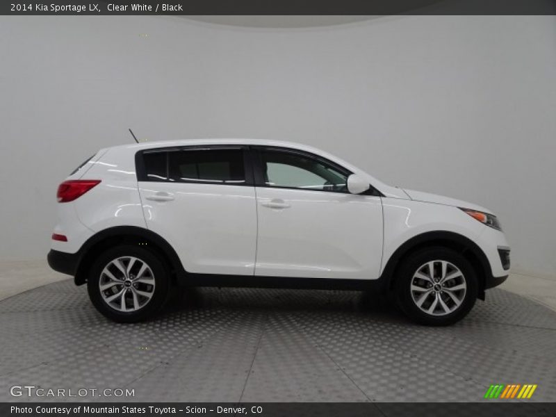 Clear White / Black 2014 Kia Sportage LX