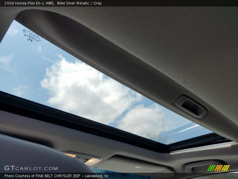 Billet Silver Metallic / Gray 2009 Honda Pilot EX-L 4WD