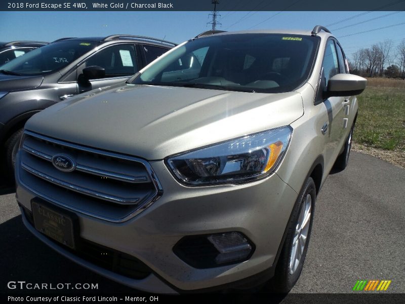 White Gold / Charcoal Black 2018 Ford Escape SE 4WD