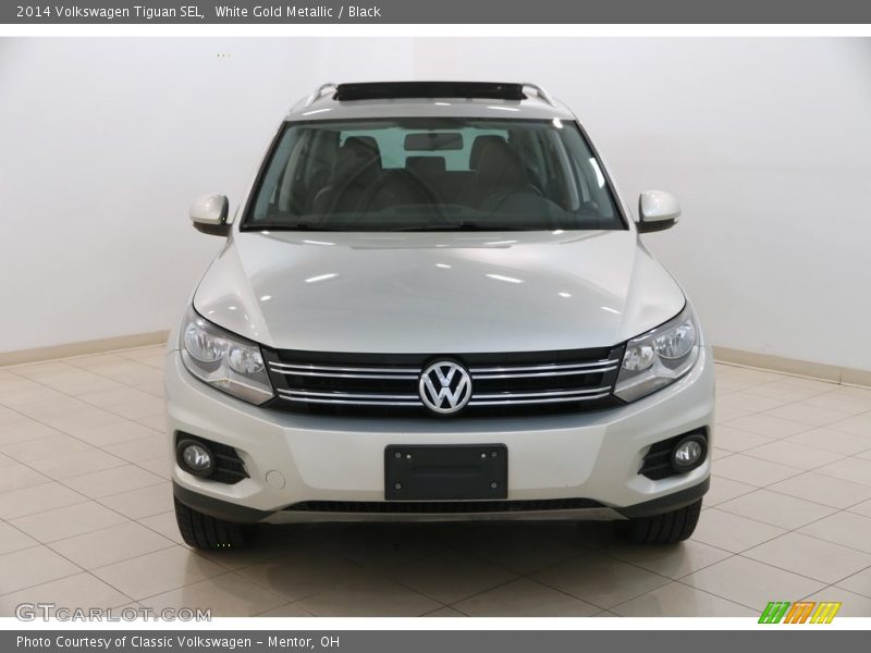 White Gold Metallic / Black 2014 Volkswagen Tiguan SEL