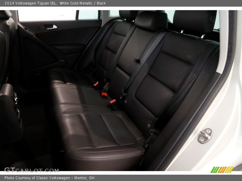 White Gold Metallic / Black 2014 Volkswagen Tiguan SEL